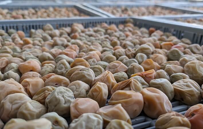 おうちde産地交流『産地を学んで、かんたん梅干しづくり!』