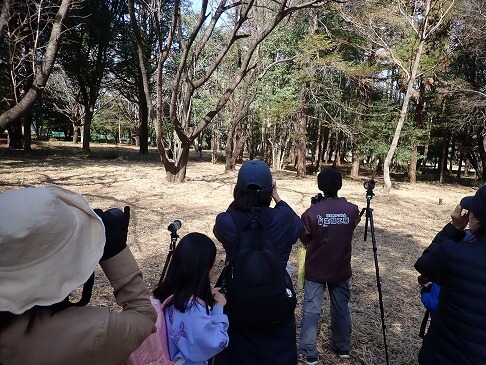まずは公園内のバードサンクチュアリで野鳥を観察します。
