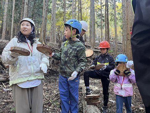 倒した木を輪切りにしていただきました