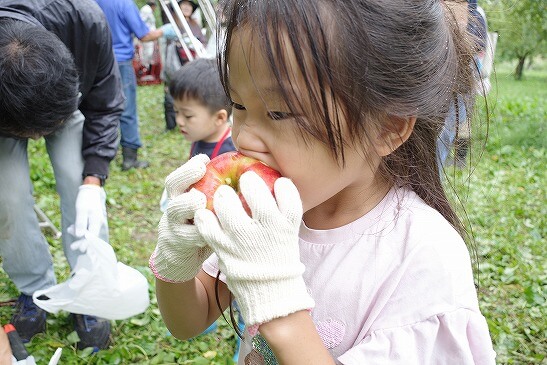 収穫したりんごにかぶりつきっ