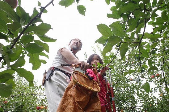 【実りの秋田へおざってたんせ！】稲刈り＆りんご収穫体験