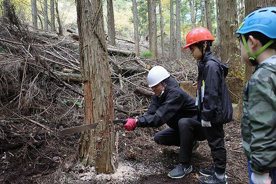 ノコギリを使ってギコギコ・・