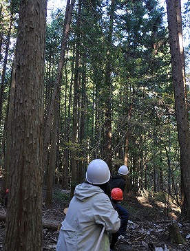 最後はロープをみんなで引っ張って・・