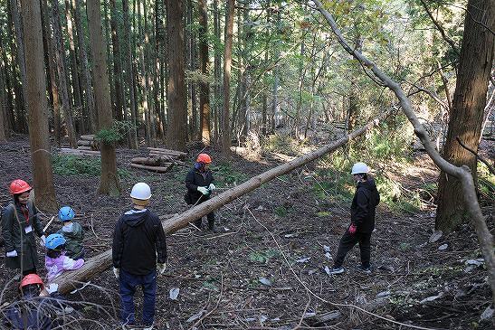 ついに倒れましたー！！