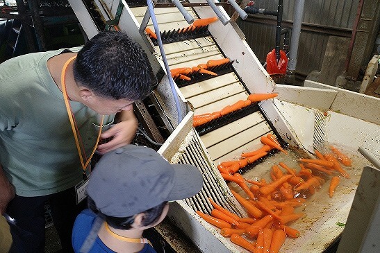 『こんなふうに洗われるんだね』