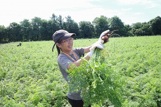 人参畑のなかで