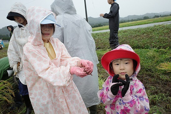 カエルみつけたよ！