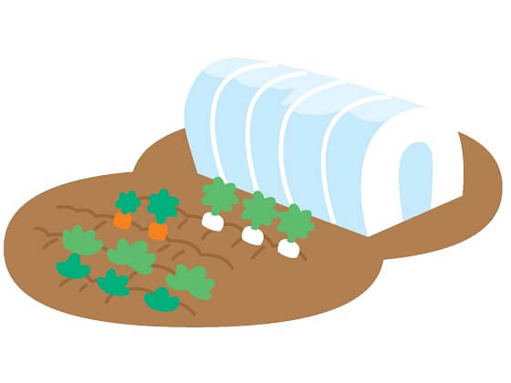 地場野菜の畑見学＆お話