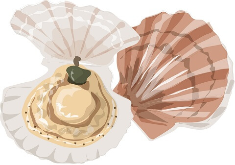 北海道野付の産直ほたてや海の幸を味わおう!