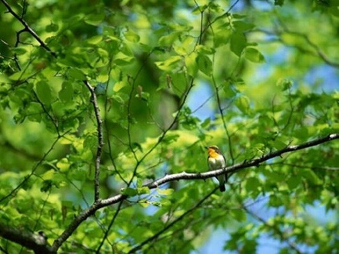 八方良しを目指して