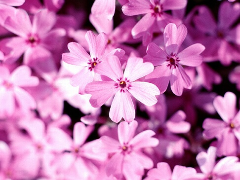 写真整理セミナー