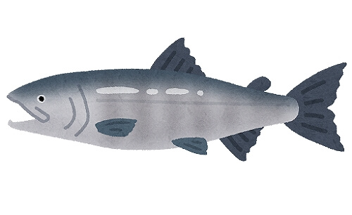 スモークサーモンのお話