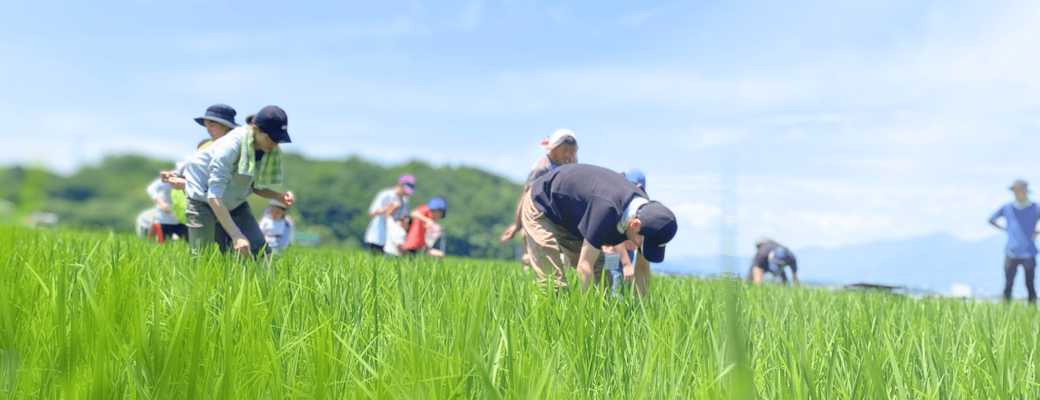 「食べもの」「地球環境」「人」を大切にした「社会」をつくります