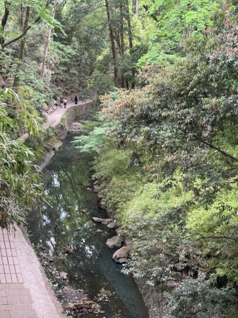 都内唯一の渓谷！新緑の等々力渓谷散策