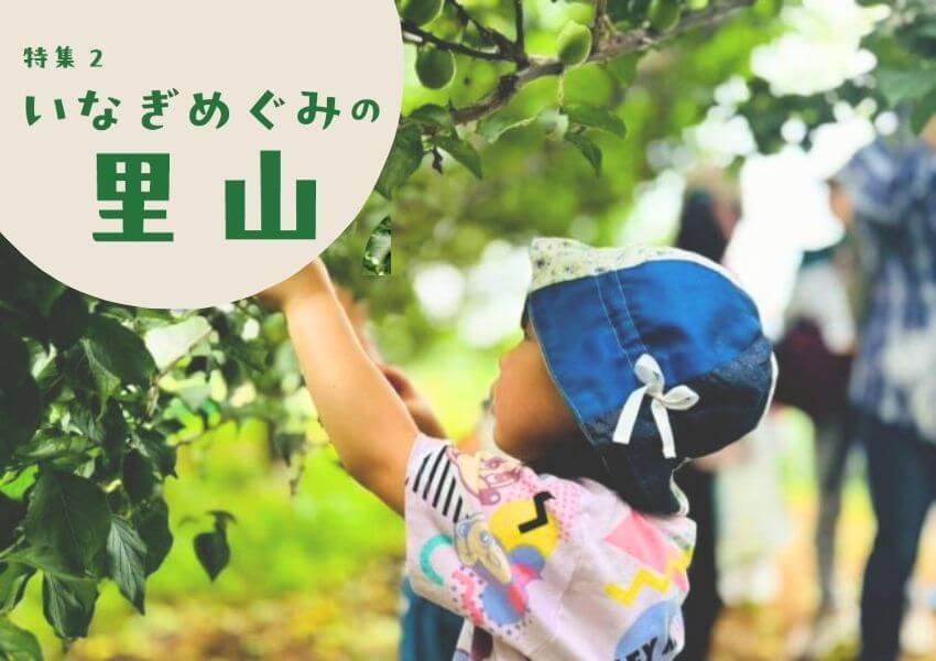いなぎめぐみの里山