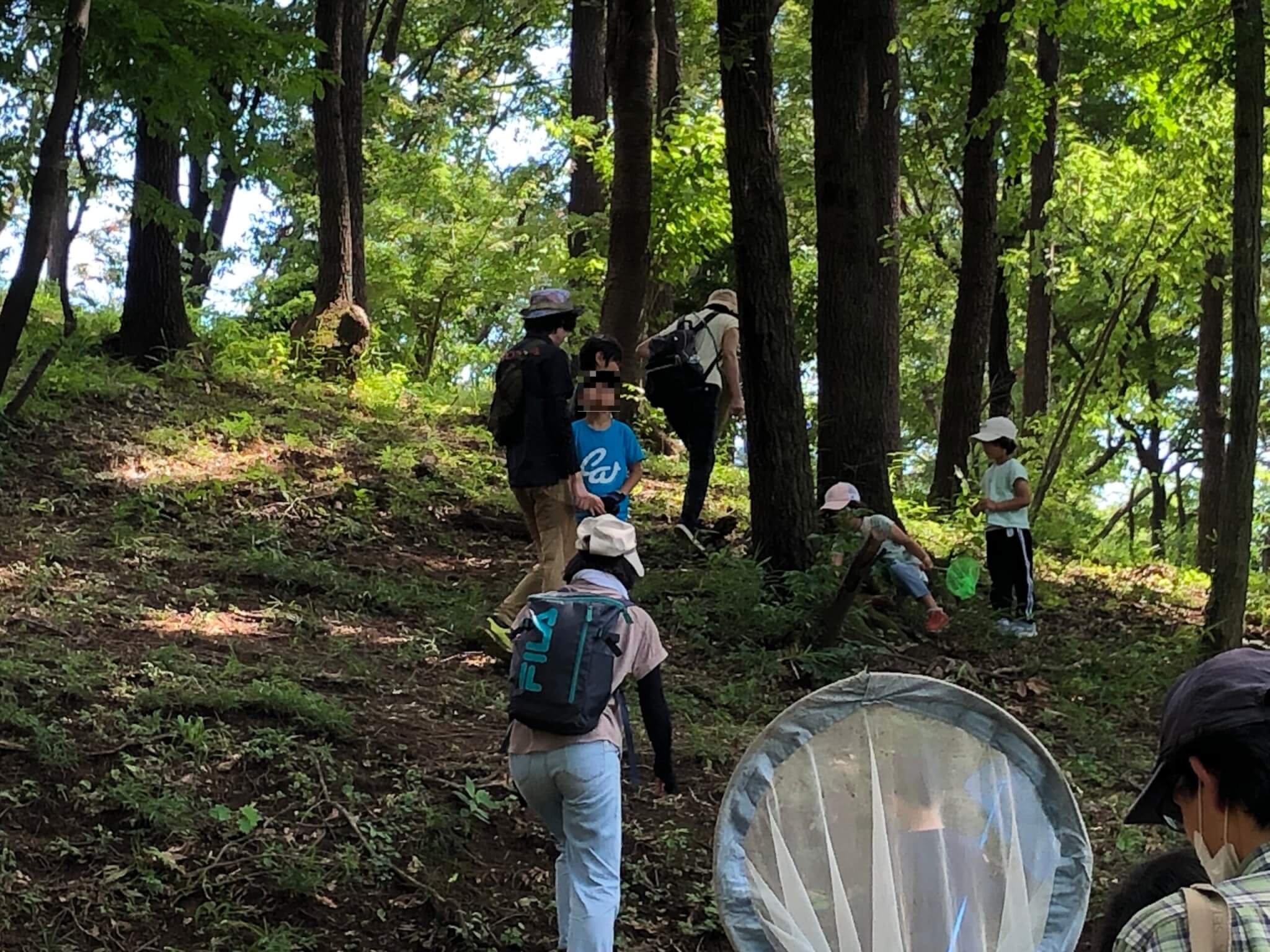 いなぎめぐみの里山　昆虫観察会（モニタリング）