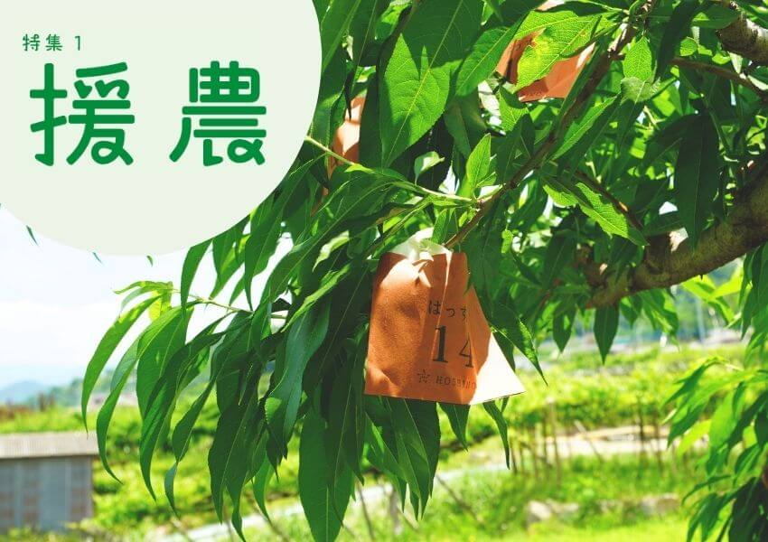 援農