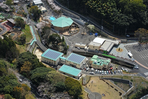 動物園に太陽光パネル!「パルシステムでんき」の発電産地〝しずおか未来エネルギー″を見学しよう!