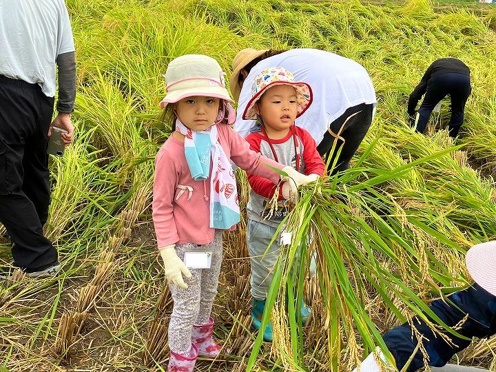 実りの秋田南部圏へおざってたんせ!稲刈り&りんご狩り