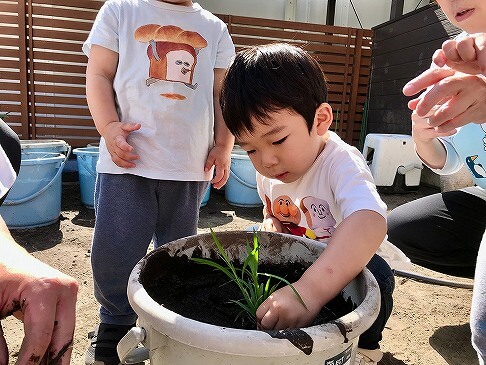 泥の感触を味わいながら・・・