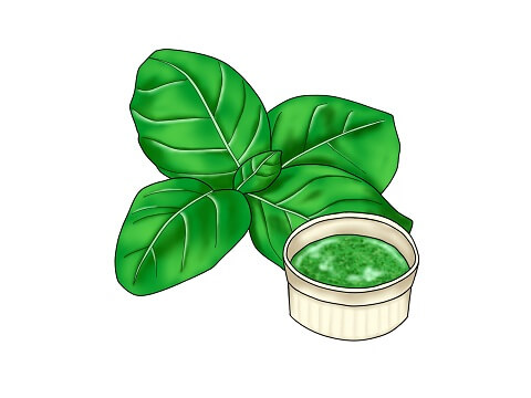 ジェノベーゼ学習会