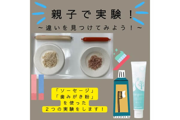 ＰＬＡオンライン企画　親子de実験教室　安全・安心・おいしい理由を発見しよう！