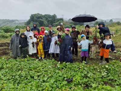 【1】10月25日「いなぎめぐみの里山 さつまいも掘り」
