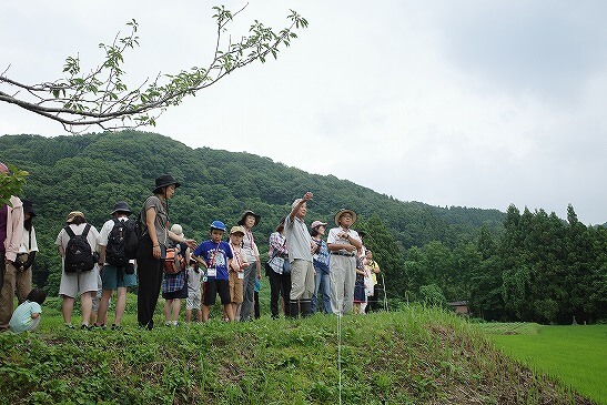 【開催報告】2026/7/18（土）・19（日）「上越棚田米の魅力発見 わくわく夏のスタディツアー」